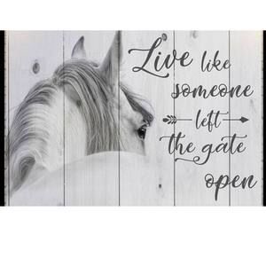 Meet your Posher, Annick demers